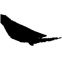 DDoS防护机制